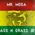 MR.MOSA - BASS N GRASS #9 [dubstep, deep dubstep, dub, raggastep, trap mix] August 2014