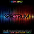 SPECTRUM - A Journey Through The Different Colours Of House - 08-2021