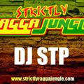 DJ STP - LIVE STRICTLY RAGGA JUNGLE DIGITAL VINYL MIX 2020 [FREEDNB.com]