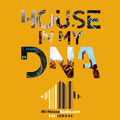 NICKY T & GEFFINO / HOUSE DNA / Mi-House Radio /  Thu 7pm - 9pm / 04-03-2021