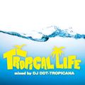 TROPICAL LIFE mixed by DJ DDT-TROPICANA