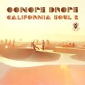 Oonops Drops - California Soul 2