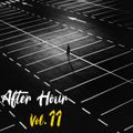 After Hour Vol. 11