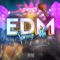 EDM Spring Mix 2022 I Best EDM , Remixes & Electro House Songs 2022