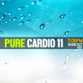 Pure Cardio, Vol. 11
