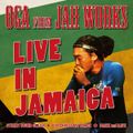 OGA LIVE at Kick out Tuesday in Ocho rios St.Ann Jamaica February 9 ,2016 by OGA rep JAH WORKS