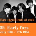 RAW INGREDIENTS OF ROCK 32: EARLY FUZZ (July 1964 - February 1965)
