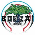 Bonzai, nothing but Bonzai p.1 (V.A)