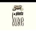 PINETA LUX (MARTEDI) - ANNO 1993 DJ MARCO OSSANNA