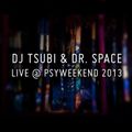 "Boogie Knights" Dj Tsubi & Dr Space B2B DJ set live @ Psyweekend 2013.
