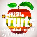 Fresh Fruits essential 01 mixed by Matush