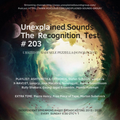 Unexplained Sounds - The Recognition Test # 203
