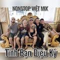 Nonstop Việt Mix 2021 - Tình Bạn Diệu Kỳ - Dj Trally Mixtap.mp3