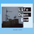 Life Down Low #11