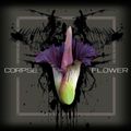 Corpse Flower 2021