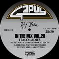 Dj Bin - In The Mix Vol.28