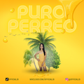 Puro Perreo - DJ J9