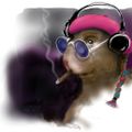 Marvin Hamster Music Emporium - 165 - 4 - Bunny Chameleon Monkey Set