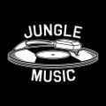 Back To The Basics 017 ( 92 - 96 Jungle Vinyl Session )
