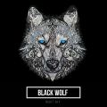 Black Wolf - Night Sky 004 [Welcome To Our World] (Galaxy Trip)
