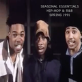 Seasonal Essentials: Hip Hop & R&B - 1991 Pt 2: Spring