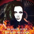 Dead Or Alive - RIP HITS Megamix (Pete Burns) 2016