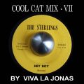 Cool Cat Mix VII by Viva La Jonas