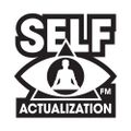 Self-Actualization FM (GTA Episodes from Liberty City) - Alternate Playlist