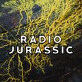 Radio Jurassic 007 - Julio Lugon w/ Slime Molds [16-04-2019]