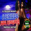 Shenseea & Jada Kingdom Mix 2020: DJ Treasure Dancehall Mix 2020 | 18764807131