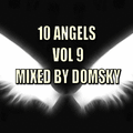 10 ANGELS VOL 9 MIXED BY DOMSKY