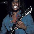 Bob Marley & the Wailers - 1976-05-13 Orchestra Hall, St. Paul, Minn. USA SBD