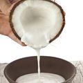 dropdread - coconuts