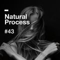 Natural Process #43