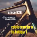 clase 828