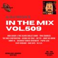 Dj Bin - In The Mix Vol.509