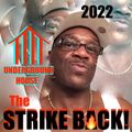 (ⓉⒺⒺ In The Game Longer Than a Lil' Bit) The STRIKE BACK (Keepin' Shit Lit In 2022 EP ⓶) 超 BIG HOUSE