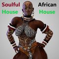 Soulful African House  - The Midnite Son