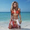 Shakira (Matt Nevin Megamix)