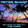 Peter Sharp - The PUMP - DEEP HOUSE WINTER HITS vol.4