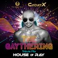 CircuitX | HIGH (2020) Gaythering Party Tribute
