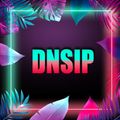 Special request - DNSIP
