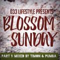@033Lifestyle presents Blossom Sunday Part 1: Mixed By Timon & Pumba