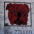 Louie Vega Live Red Dog Chicago 1998