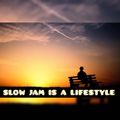 DJ Ace - Slow Jam Is A LifeStyle (AmaPiano Mix)