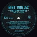 John Peel Tue 12 Oct 1982 (Nightingales-Animal Magic sessions +Gymslips, Deigo, R Wyatt : FULL SHOW)