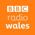 Via Fantastica 'SKU 22 (Ssick Remix)' on BBC Introducing on Radio Wales