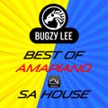 Best of Amapiano (Afrobeats, Afrohouse, SA House, Kwaito, DJ Bugzy Lee, Europe’s finest)