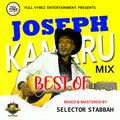 BEST OF JOSEPH KAMARU NGOGOYO MIX BY SELECTOR STABBAH