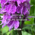 Cadenza Podcast | 234 - Felipe Venegas (Cycle)
